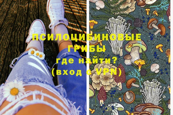 спиды Новодвинск