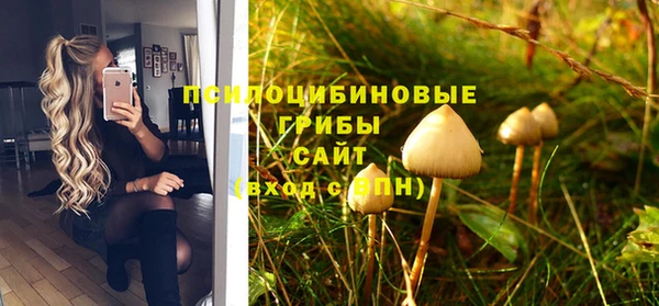 бошки Новокубанск