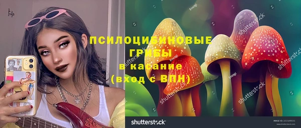 спиды Новодвинск