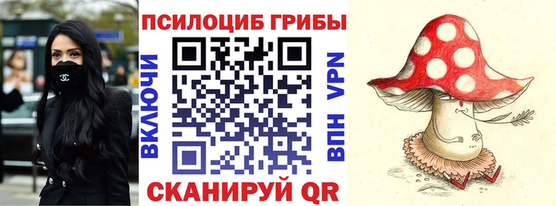Галлюциногенные грибы прущие грибы  сколько стоит  Россошь 