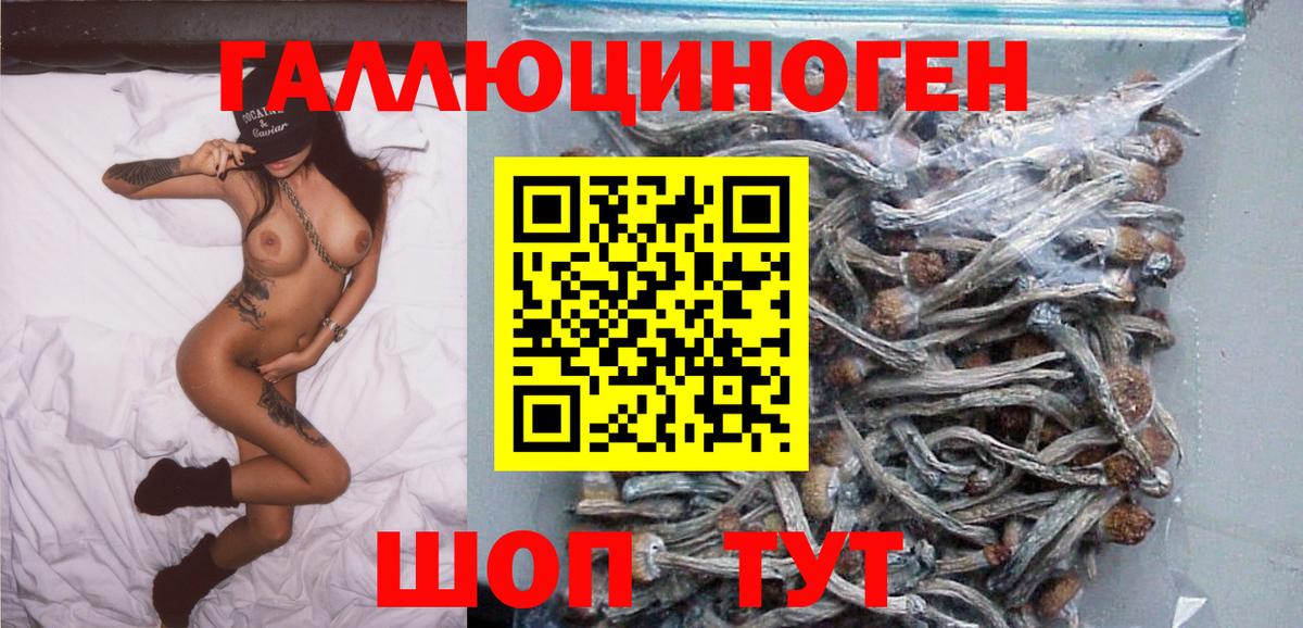 Галлюциногенные грибы GOLDEN TEACHER  Галлюциногенные грибы Magic Shrooms  Вход с VPN  Россошь 