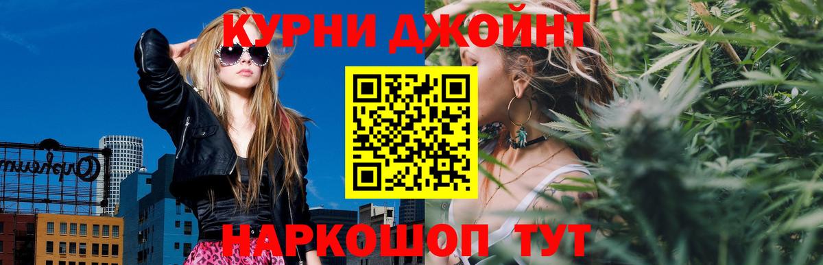 Конопля гибрид Россошь